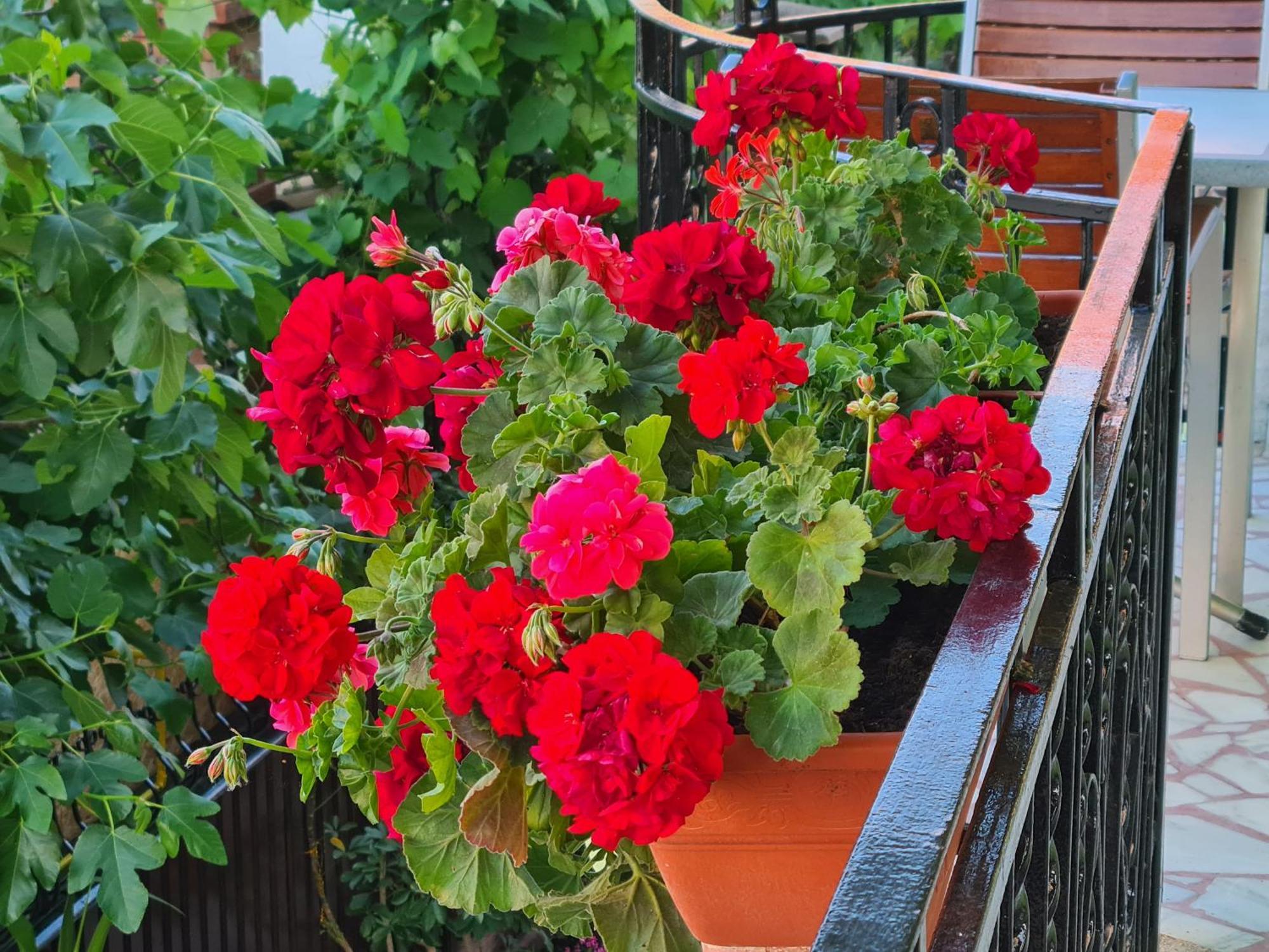Hotel Casa Bianca Două Mai Zewnętrze zdjęcie